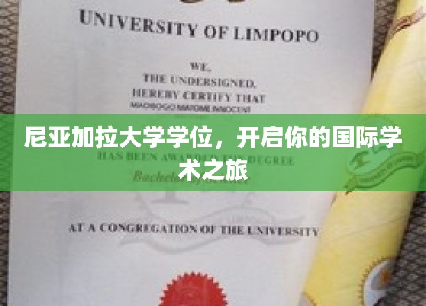 跨洋启航，尼亚加拉大学学位，解锁全球学术新篇章