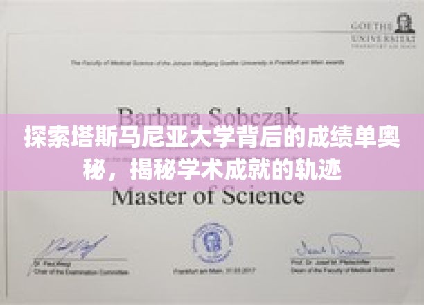 解码塔斯马尼亚大学卓越成就背后的秘密路径