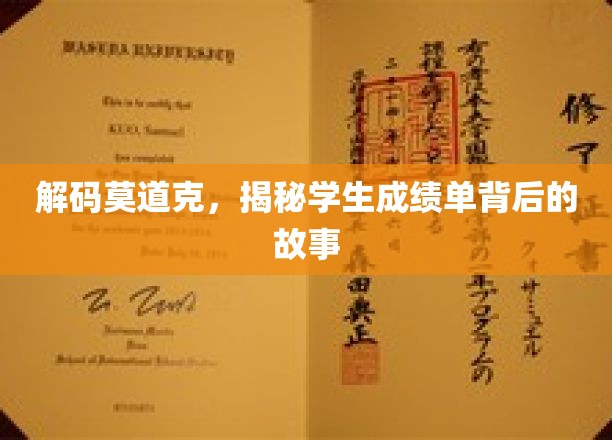 解码莫道克，揭秘学生成绩单背后的故事