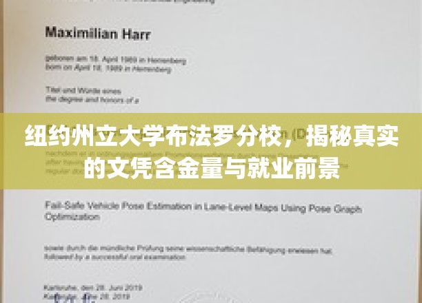 布法罗分校学历解析，揭秘纽约州立大学布法罗分校的真实含金量与未来职场潜力