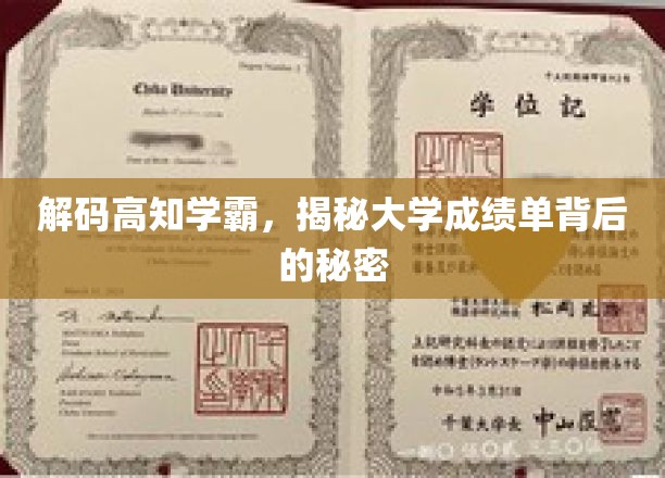 解码高知学霸，揭示大学成绩单背后的奥秘