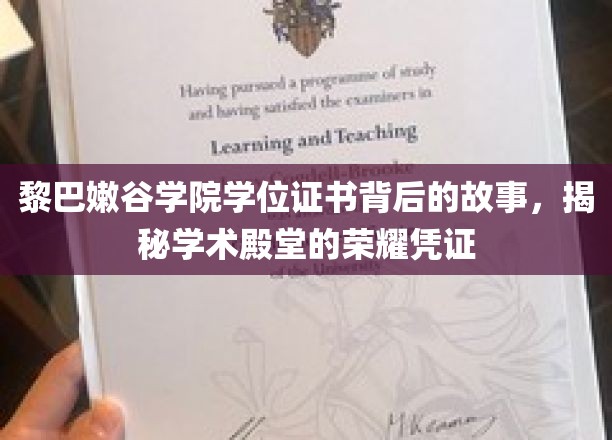黎巴嫩谷学院学位证书背后的故事，揭秘学术殿堂的荣耀凭证