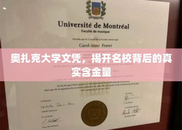 奥扎克大学文凭揭秘，名校光环下的真实价值与内涵