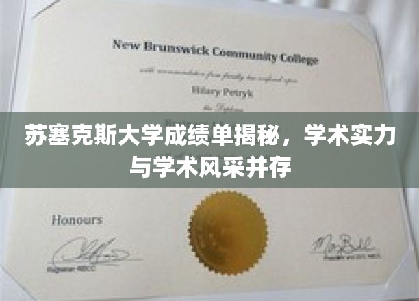 苏塞克斯大学成绩单揭秘，学术实力与学术风采并存