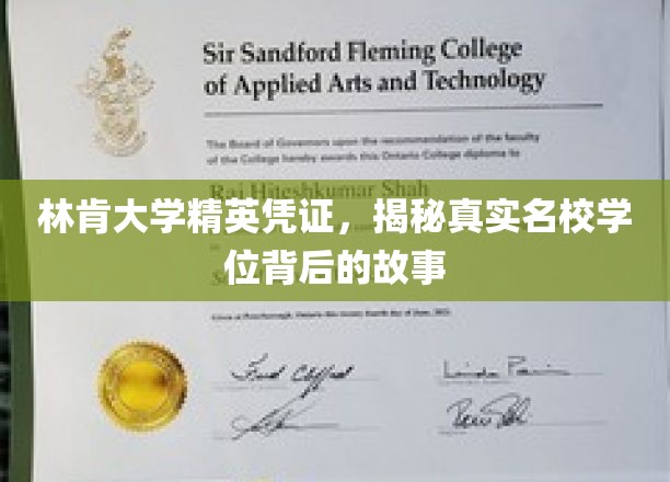 林肯大学精英通行证，探秘名校学位背后的非凡历程