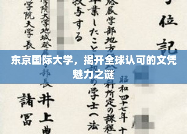 解码东京国际大学，全球通行文凭的神秘力量