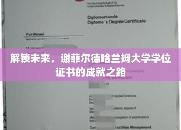 跨越界限，谢菲尔德哈兰姆大学学位证书背后的辉煌征程