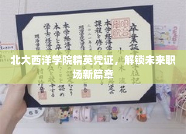 北大西洋学院精英凭证，开启未来职场新篇章