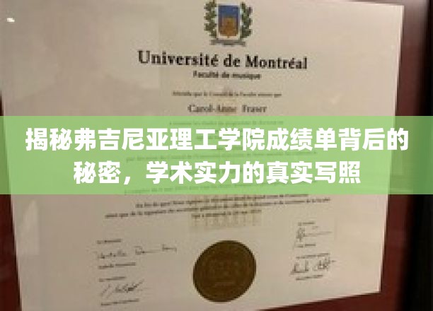 解码弗吉尼亚理工学院成绩单，一窥学术精英的成长轨迹