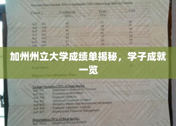 解码加州州立大学，学子辉煌成绩大盘点