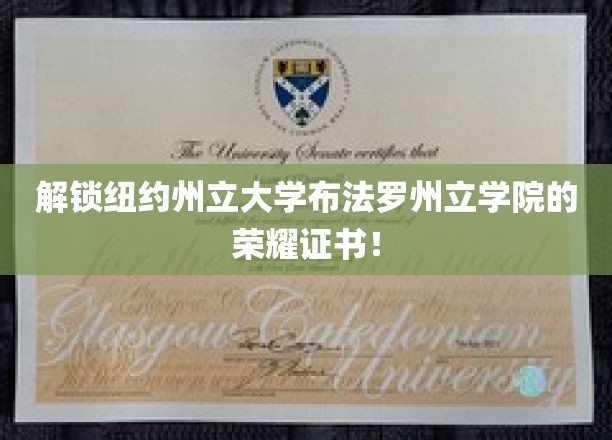 探寻布法罗州立学院荣耀证书背后的传奇故事