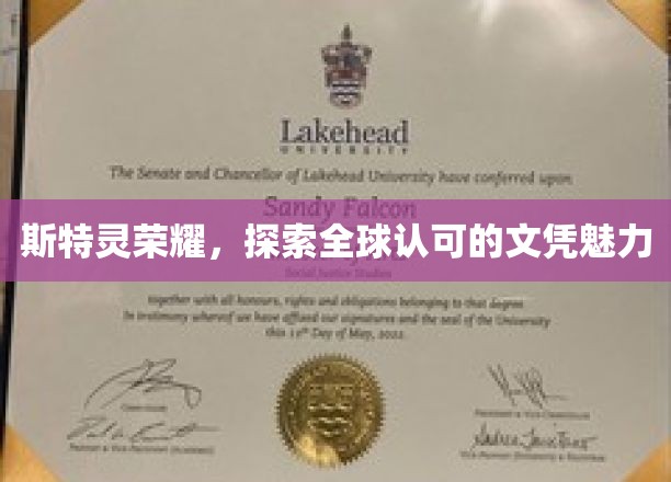 全球瞩目的斯特灵荣耀，揭秘文凭背后的非凡魅力