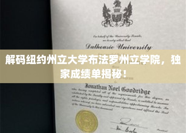 解码纽约州立大学布法罗分校，独家成绩单揭秘！