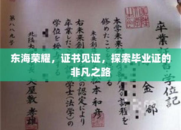 毕业证书的光辉征程，东海荣耀之旅