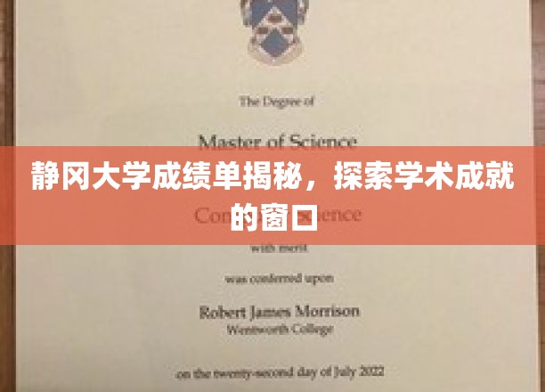揭开静冈大学成绩单面纱，探寻学术辉煌的视角
