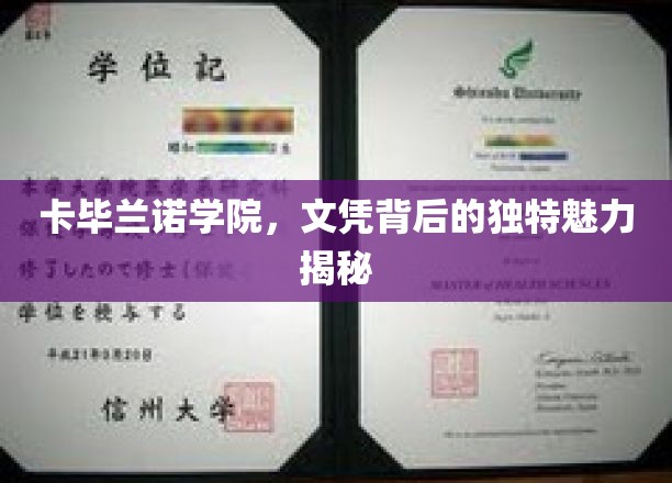 探寻卡毕兰诺学院，文凭背后的神秘吸引力