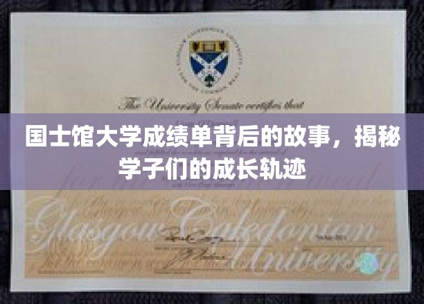 国士馆大学成绩单背后的故事，揭秘学子们的成长轨迹