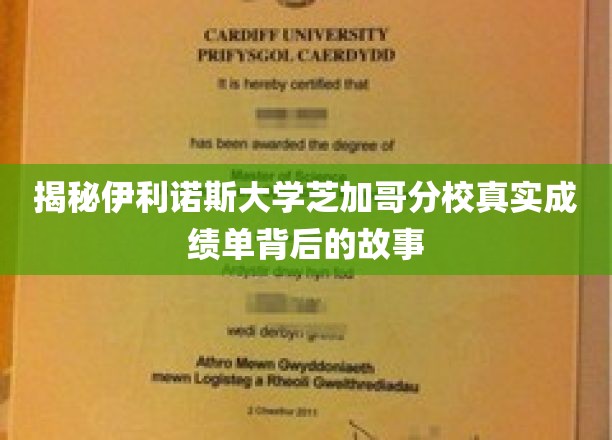 揭秘伊利诺斯大学芝加哥分校真实成绩单背后的故事