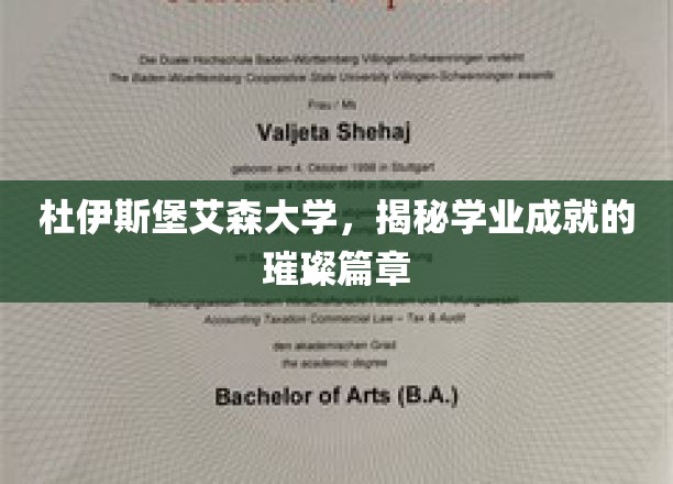 杜伊斯堡艾森大学，探寻辉煌学业成就的背后传奇