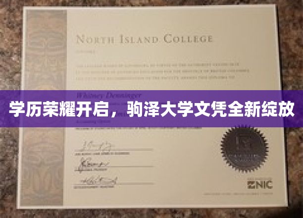 驹泽大学新篇章，荣耀学历绽放，未来成就启航