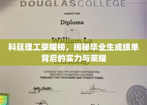 科廷理工荣耀榜，揭秘毕业生成绩单背后的实力与荣耀