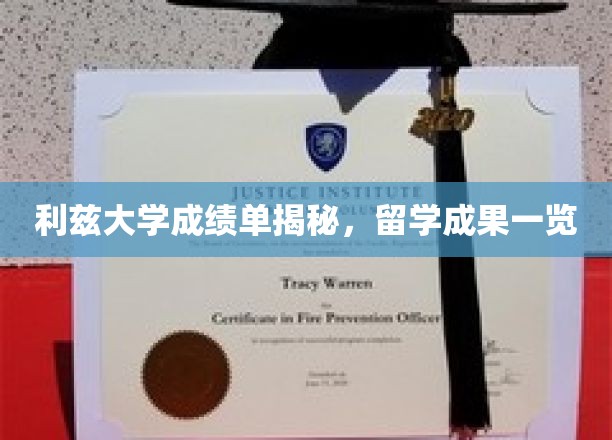 利兹大学成绩单揭秘，留学成果一览