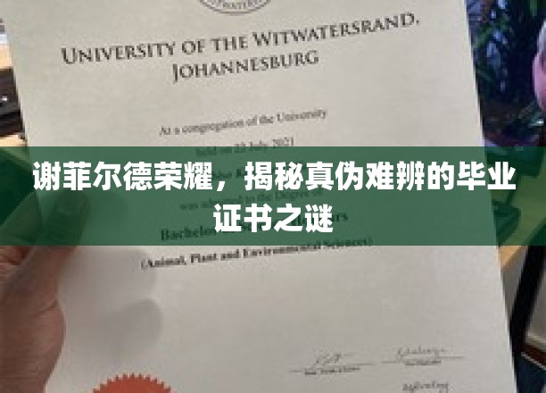 揭秘谢菲尔德大学的毕业证书之谜，探寻荣耀背后的真实故事