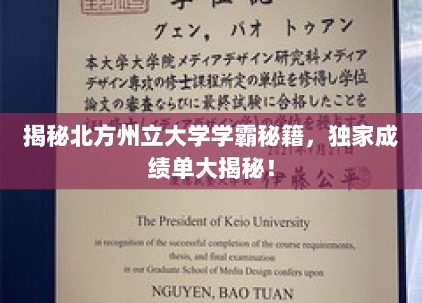 解锁北州学霸之道，一窥高分秘诀，揭秘校园卓越风采！