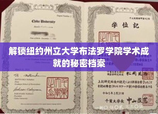 揭开纽约州立大学布法罗学院辉煌学术成就的神秘面纱
