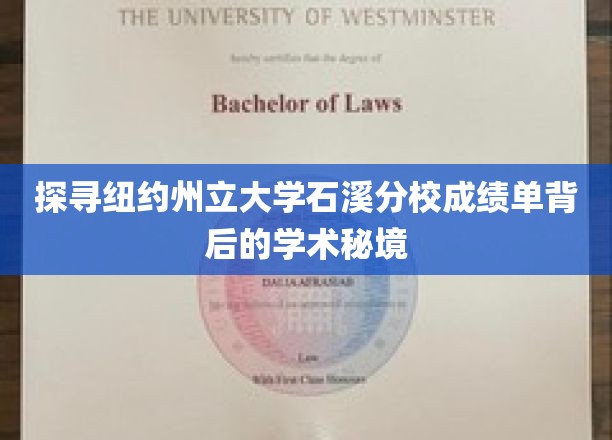 石溪分校成绩单，揭秘学术秘境中的纽约州立大学传奇