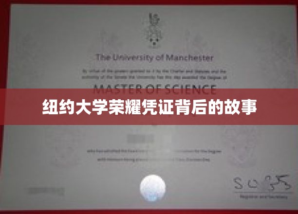 解码纽约大学荣耀证书的传奇历程