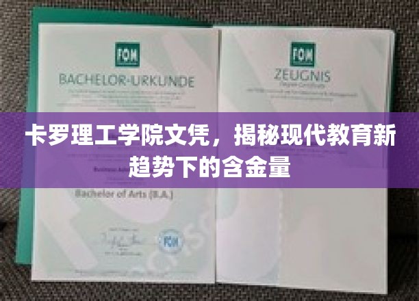 卡罗理工学院文凭，揭秘现代教育新趋势下的含金量