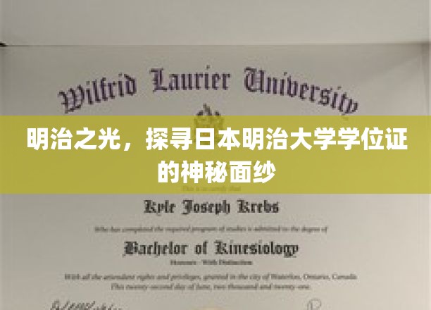 揭开明治大学学位证背后的传奇之光