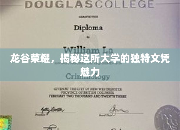探寻龙谷秘境，揭秘高校文凭的非凡吸引力