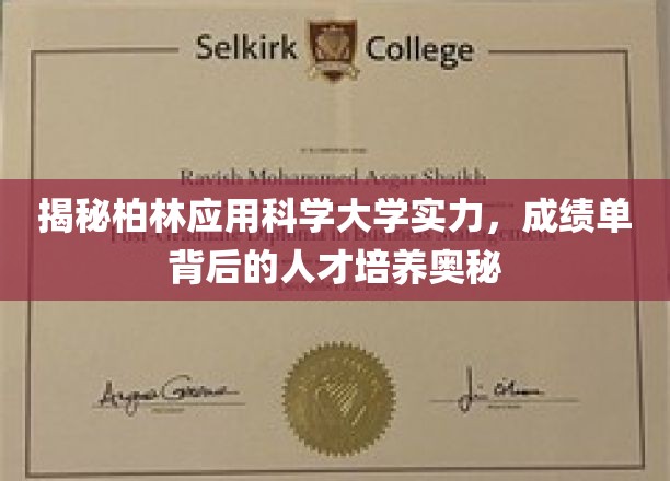 探寻柏林应用科学大学卓越实力，解码顶尖教育成就与人才培育之道