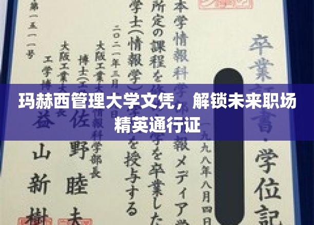 玛赫西管理大学文凭，开启未来职场精英的通行证