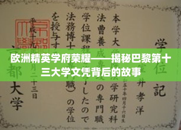 巴黎第十三大学荣光揭秘，探寻精英文凭的奥秘之旅