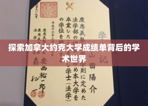 探索加拿大约克大学成绩单背后的学术世界