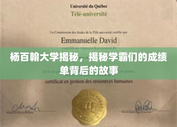 杨百翰学霸风云录，揭秘高材生的成绩单背后传奇