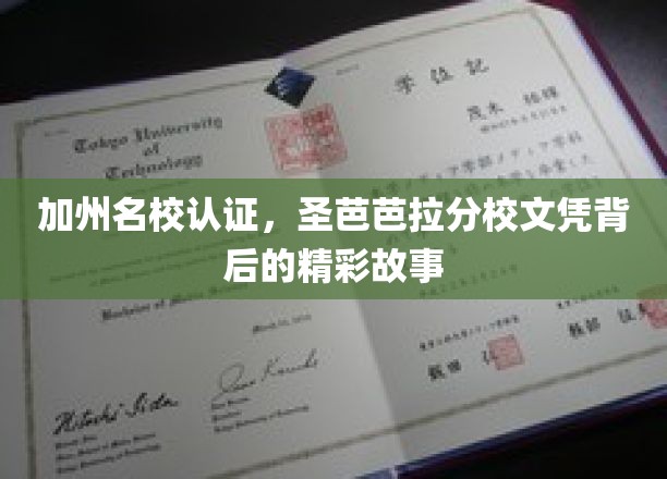加州名校认证，圣芭芭拉分校文凭背后的精彩故事