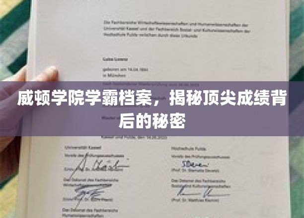 威顿学院学霸档案，揭秘顶尖成绩背后的奥秘