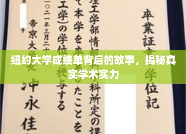 纽约大学成绩单背后，揭开学术实力的神秘面纱