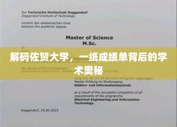 解码佐贺大学，一纸成绩单背后的学术奥秘