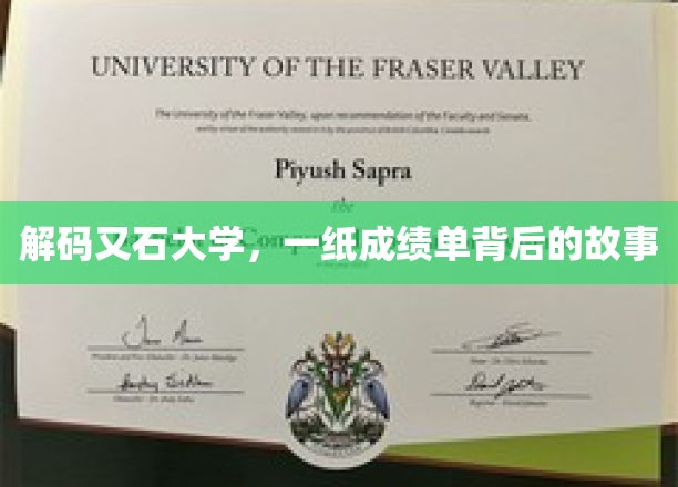 成绩单背后，又石大学学生的青春轨迹解析