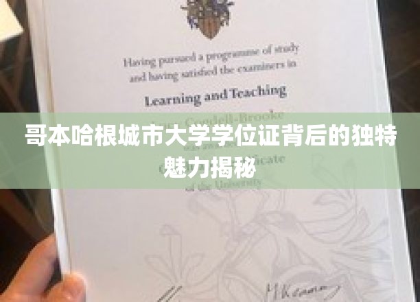 哥本哈根城市大学学位证，探寻其背后的非凡价值与独特风采