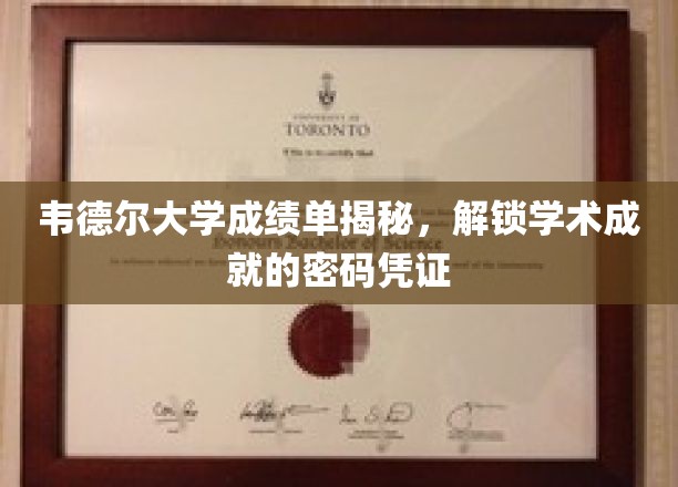 韦德尔大学成绩单揭秘，解锁学术成就的密码凭证