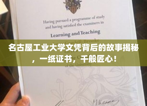 名古屋工业大学文凭背后的故事揭秘，一纸证书，千般匠心！