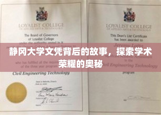 静冈大学文凭背后的故事，揭秘学术荣耀的奥秘