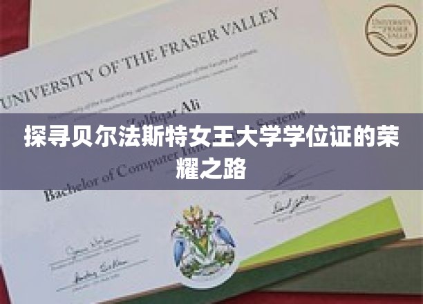 解码贝尔法斯特女王大学学位证的璀璨传奇