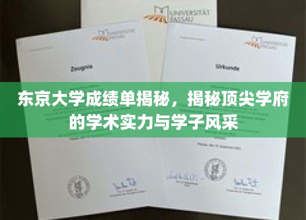 解码东京大学，揭秘学术殿堂的卓越风采与学子成就
